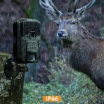 apeman_H55_PP_4